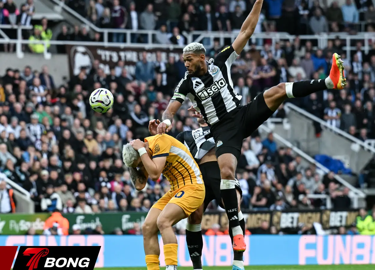 Newcastle United chìm sâu trong khủng hoảng